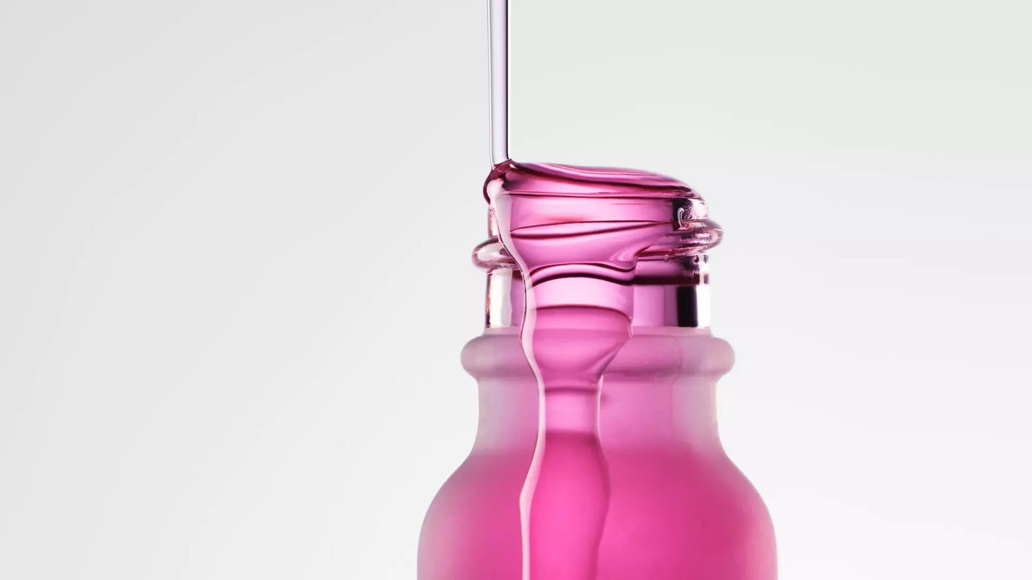 House Plant